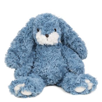 Blue Bunny – Wilberry Eco Classics