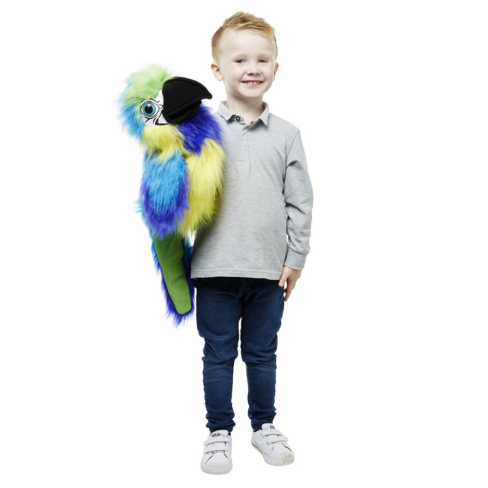 Blue & Gold Macaw - Large Birds