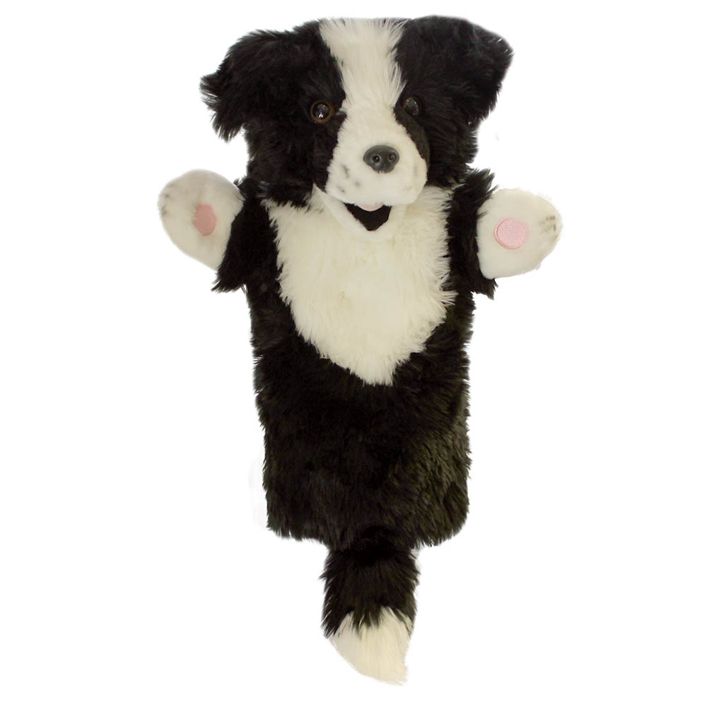 Border Collie - Long-Sleeved