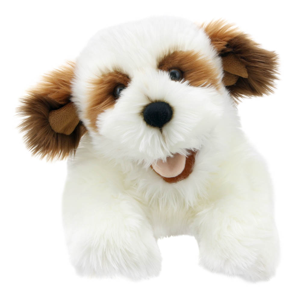 Brown & White - Playful Puppies