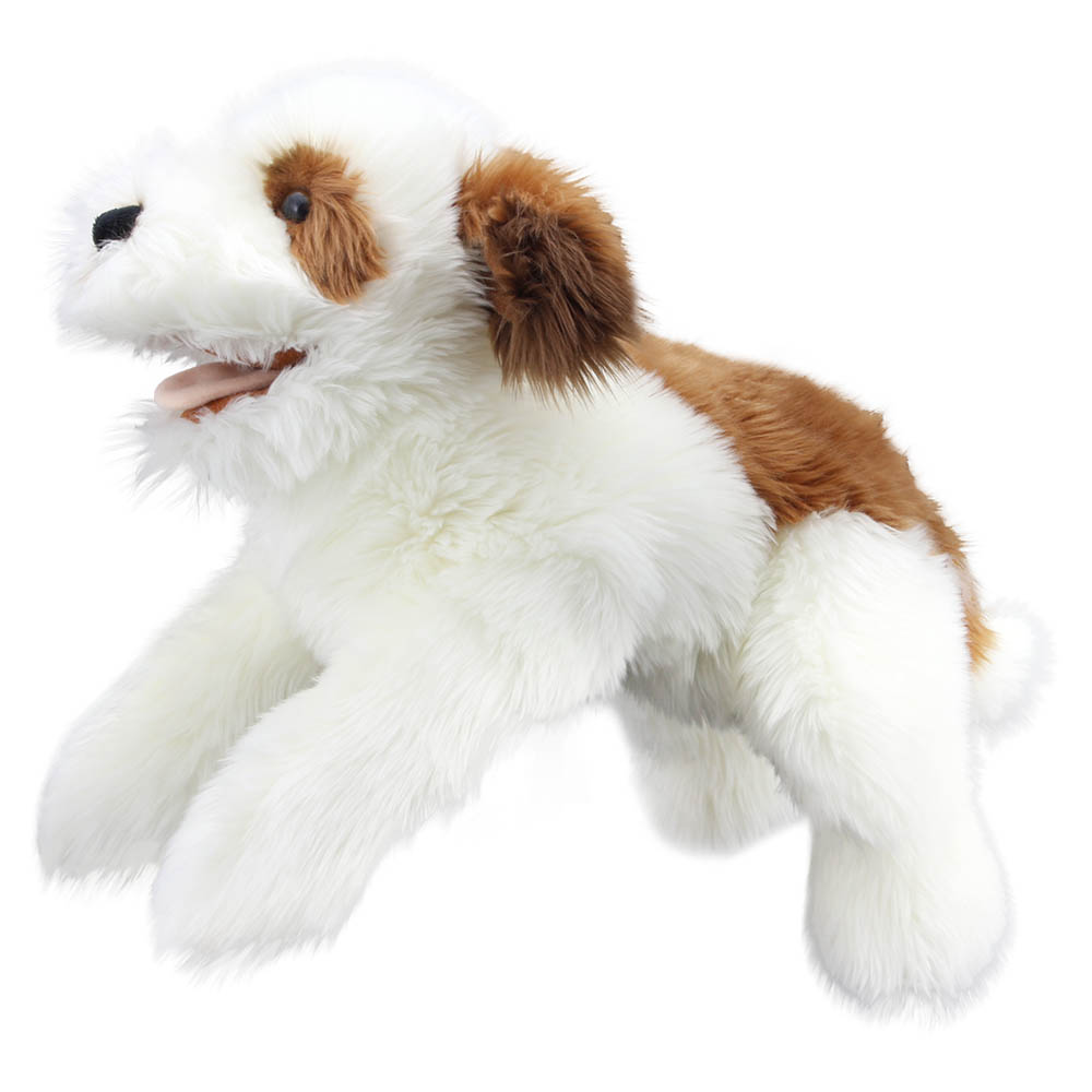 Brown & White - Playful Puppies