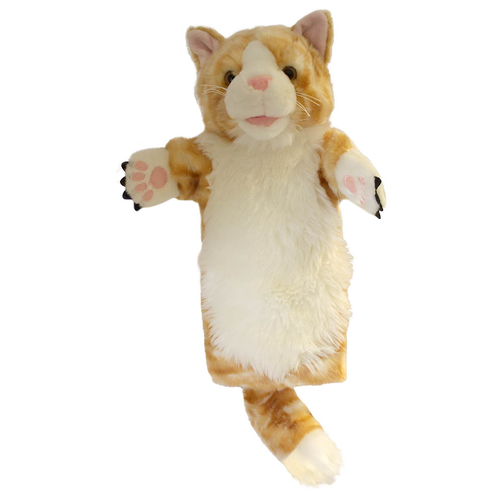 Cat - Ginger - Long-Sleeved