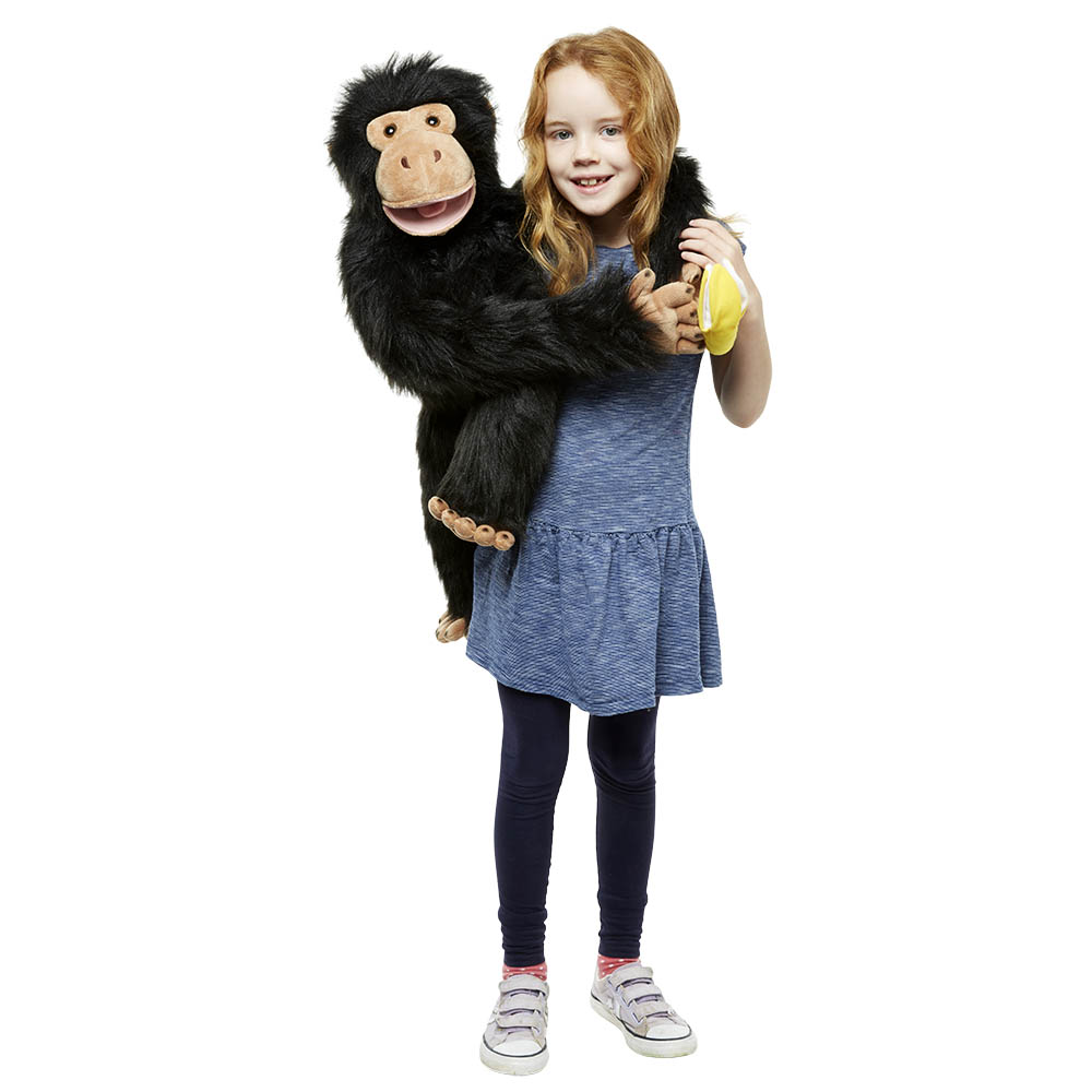 Chimp - Large Primates
