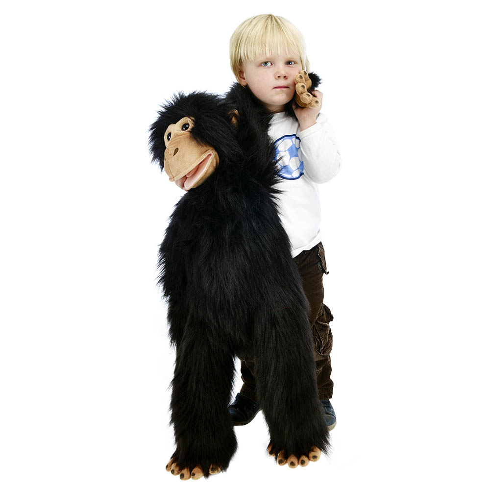 Chimp - Large Primates