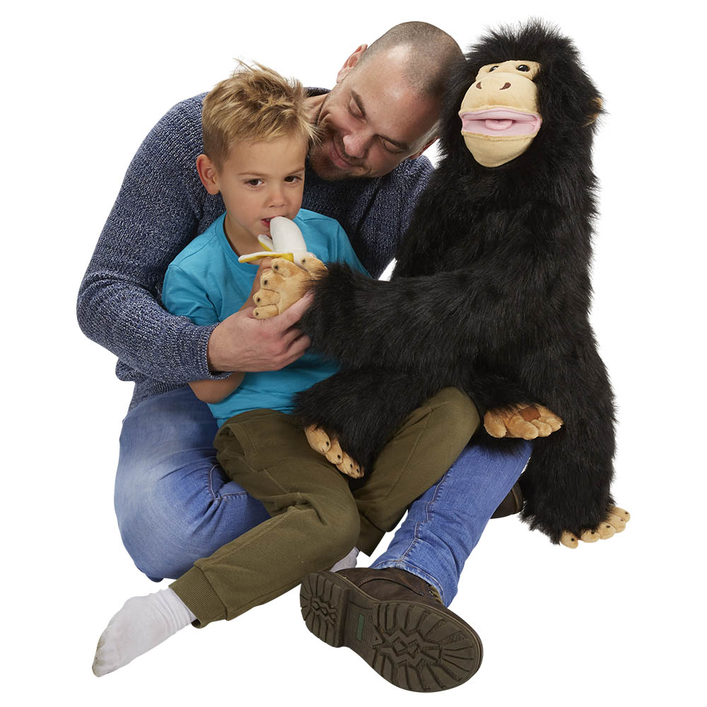 Chimp - Large Primates
