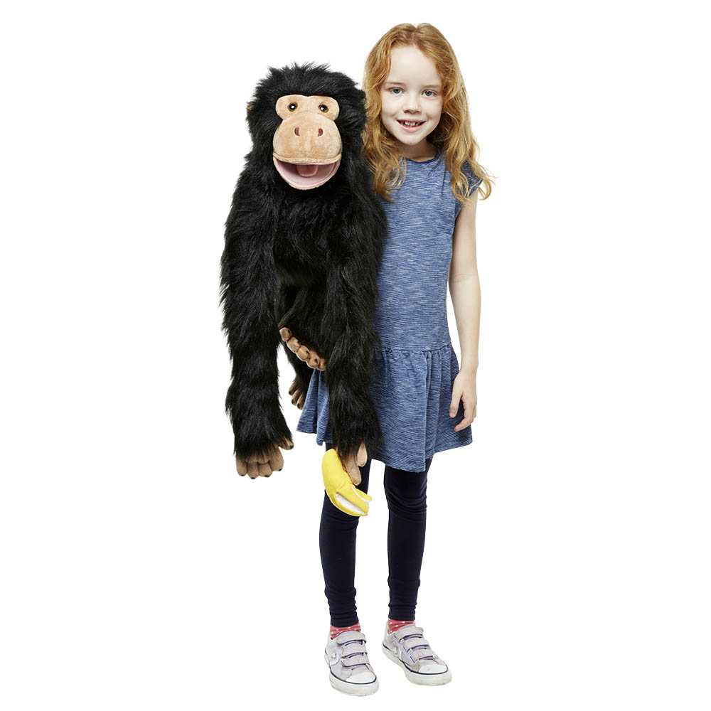 Chimp - Large Primates
