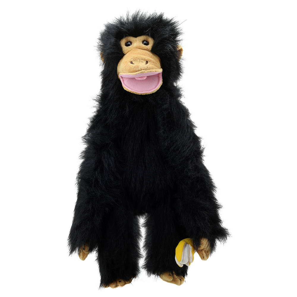 Chimp - Medium Primates