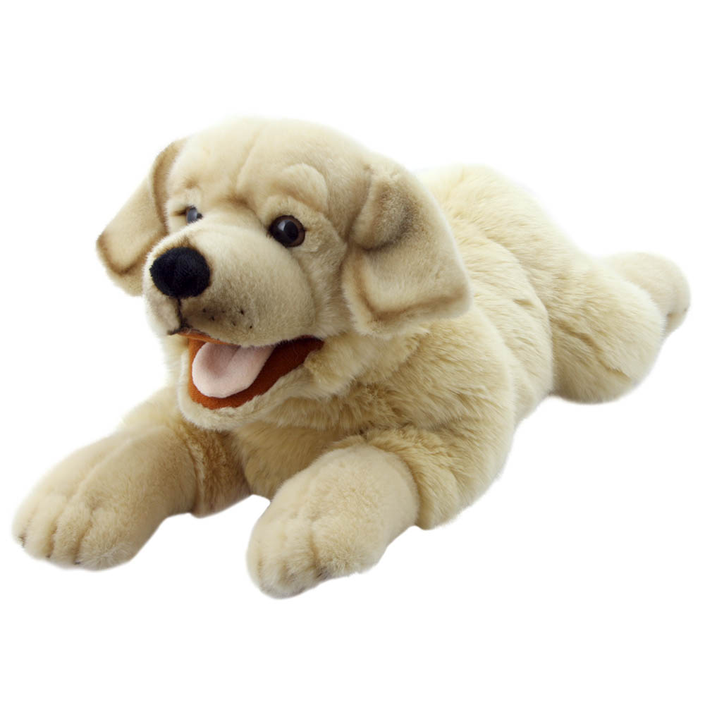 Labrador - Yellow - Playful Puppies