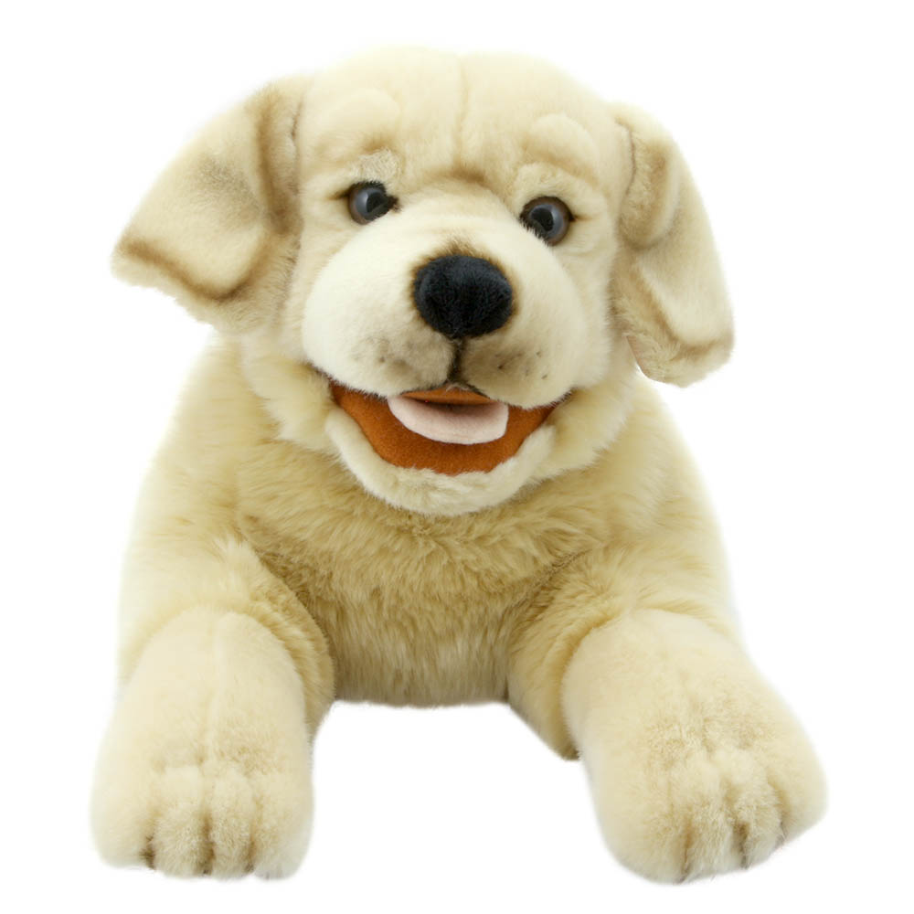 Labrador - Yellow - Playful Puppies