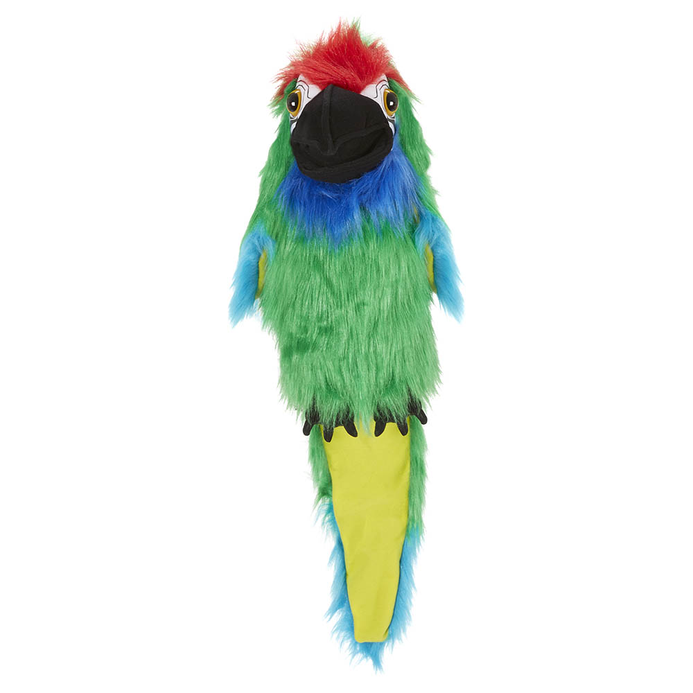 Military Macaw - Large Birds