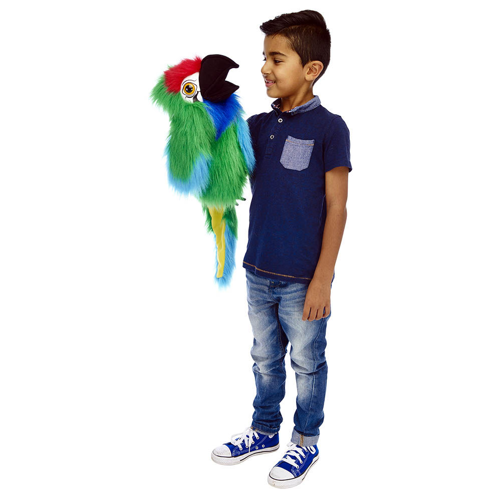 Military Macaw - Large Birds