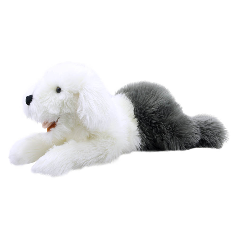 Old English Sheepdog - Playful Puppies