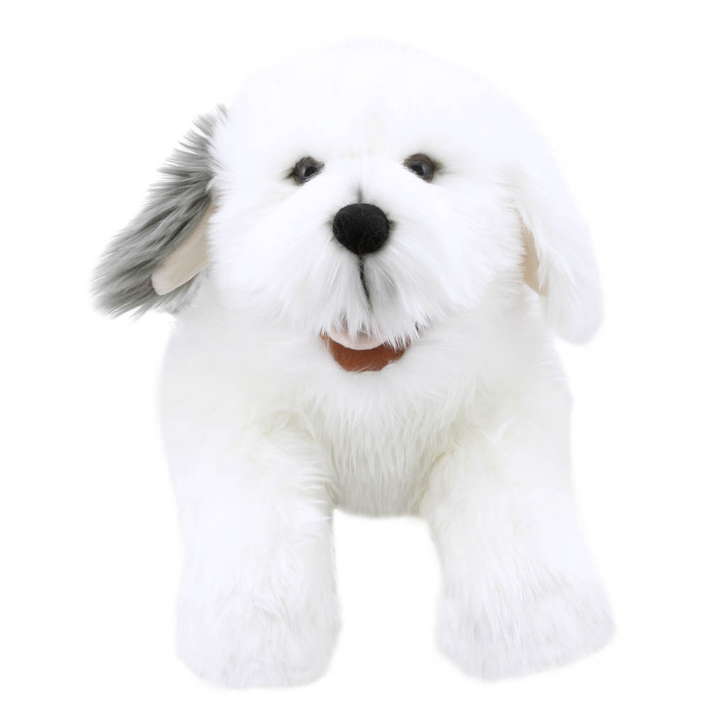 Old English Sheepdog - Playful Puppies