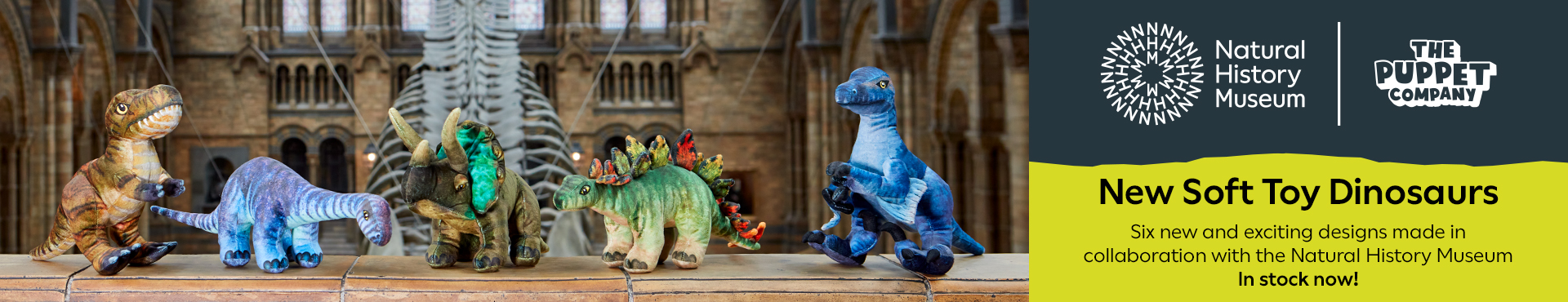 Retail &ndash; NHM &ndash; Large